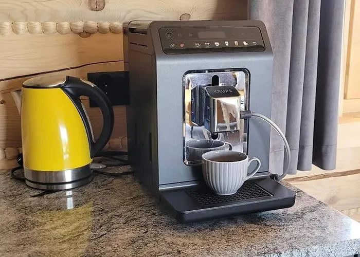 Gorskie Przysiolki W Koniakowie - Dom Z Bala Goralski Loft *